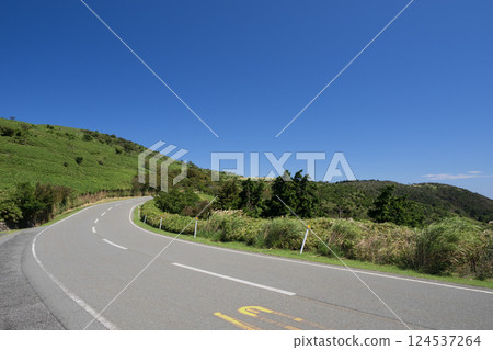 9月：西伊豆Skyline、戶田停車場區域 124537264