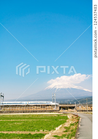 [Shizuoka Prefecture] Mount Fuji under the blue spring sky and the Shinkansen train running at its base 124537483