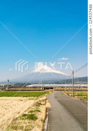 【靜岡縣】春天藍天下的富士山和山腳下行駛的新幹線 【靜岡縣】春天藍天下的富士山和山腳下行駛的新幹線 124537486