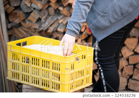 Hands carefully arrange items in a bright yellow basket against a backdrop of neatly stacked wooden logs during an afternoon of organizing in a cozy outdoor space 124538236