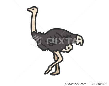 Illustration of an ostrich (line drawing color) Illustration of an ostrich (line drawing color) 124538428