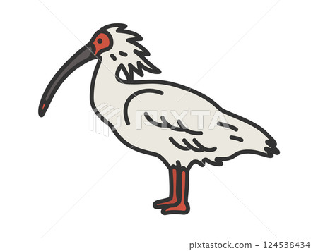 Illustration of a crested ibis (line drawing color) 124538434