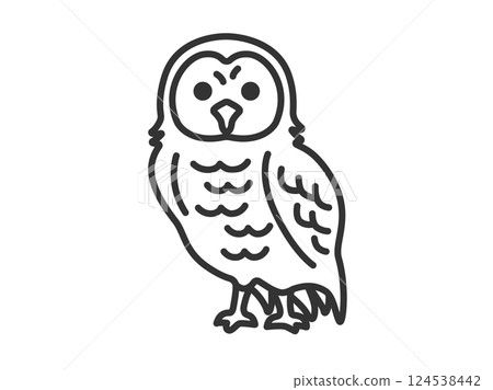 Owl (line drawing) illustration Owl (line drawing) illustration 124538442