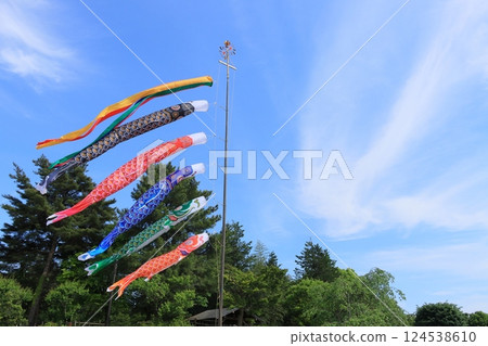 鯉魚飄飄藍天五月 124538610