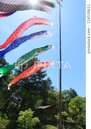 Carp streamers swimming in the blue sky Boy's Festival 124538611