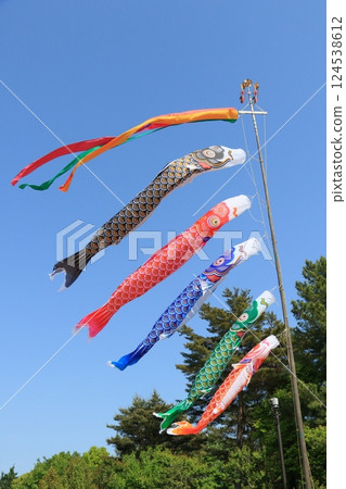 鯉魚飄飄藍天五月 124538612