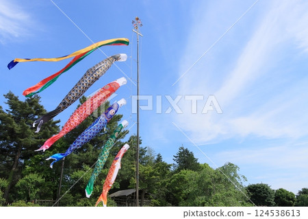 Carp streamers swimming in the blue sky Boy's Festival 124538613