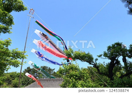 鯉魚幡比屋頂還高 鯉魚幡在藍天裡游 124538874