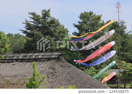 鯉魚幡比屋頂還高 鯉魚幡在藍天裡游 124538875