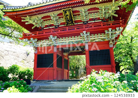 茨城縣 - 天引觀音寺的繡球花盛開 124538933