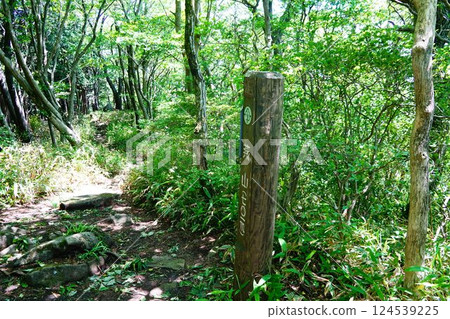 Ibaraki Tsukuba Mountains Mount Tsubame North Peak 124539225