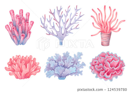 Sea corals set. Colorful ocean coral reefs. Watercolor and marker illustrations. Hand drawn isolated art. Underwater animal of seabed for kids room, shower, guidebook design. Nature ecosystem. 124539780