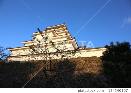 Tsuruga Castle Aizuwakamatsu Aizuwakamatsu Castle Wakamatsu Castle Honmaru Aizuwakamatsu Tourism Castle Tower Castle Fukushima Prefecture Tourism Wakamatsu Castle Ruins Park 124540107
