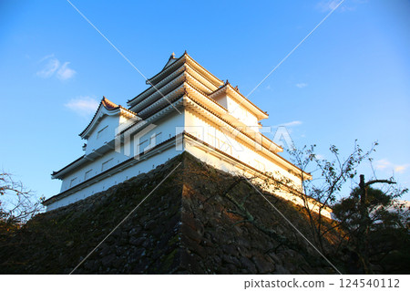 鶴城 會津若松 會津若松城 若松城 本丸 會津若松觀光 城塔 城郭 福島縣觀光 若松城跡公園 鶴城 會津若松 會津若松城 若松城 本丸 會津若松觀光 城塔 城郭 福島縣觀光 若松城跡公園 124540112