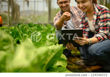 Two farmers review information on digital tablet among rows of lettuce in a greenhouse Two farmers review information on digital tablet among rows of lettuce in a greenhouse 124540372