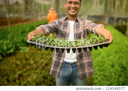 Smiling farmer showing seedling tray in organic greenhouse 124540377