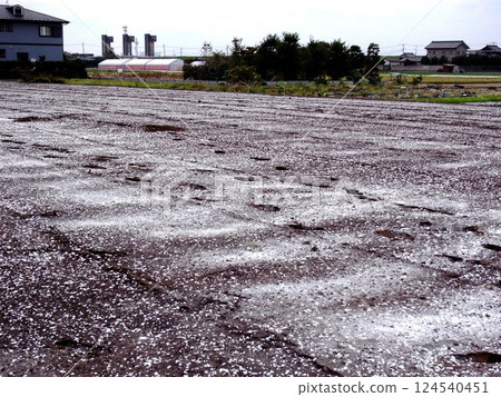 Autumnal landscape of a field sprayed with pesticides Autumnal landscape of a field sprayed with pesticides 124540451