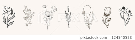 Floral botanical feminine wild flower summer line sketch drawing. Trendy minimal elements wedding herbs, minimalistic flowers with elegant leaves. Tiny tattoo, elegant rustic Floral botanical feminine wild flower summer line sketch drawing. Trendy minimal elements wedding herbs, minimalistic flowers with elegant leaves. Tiny tattoo, elegant rustic 124540558