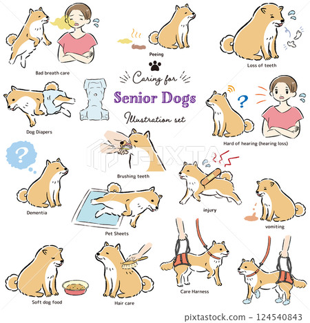 高級犬護理插圖集 124540843