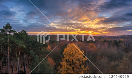 Golden Sunset Over a Serene Autumn Forest 124540939