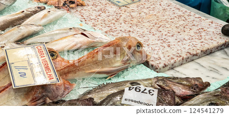 Mercado do Livramento in Setub Mercado do Livramento in Setub 124541279