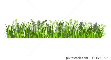 Summer grass border. Nature landscape element isolated on white background. Fragment of green grass. Spring meadow or summer lawn symbol 124541926