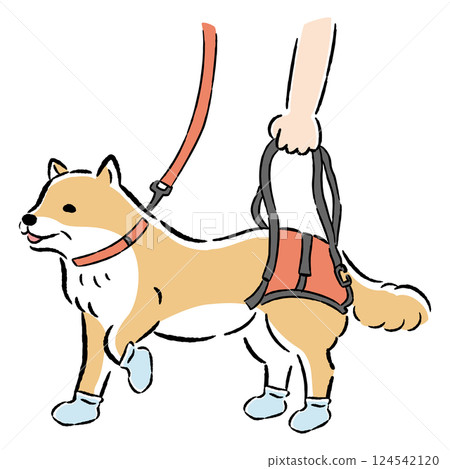 Hand-drawn illustration of a senior dog using a walking belt 124542120