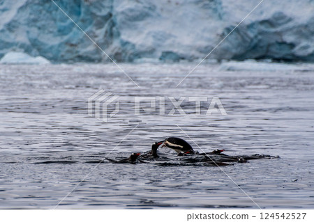 Swimming and Jumping Penguins among the Antarctic Sea Ice Swimming and Jumping Penguins among the Antarctic Sea Ice 124542527