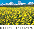 Rape blossoms field 01 124542570