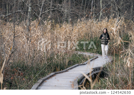 Fall exploration in Japan, A solo Asian woman hiking along a scenic trail, basking in the beauty of autumn's golden and silver hues. 124542630