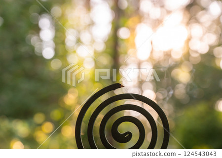Green mosquito coil Insect repellent outdoors during summer. Trying to kill mosquitoes and flies. Prevention disinfection against mosquito bite 124543043