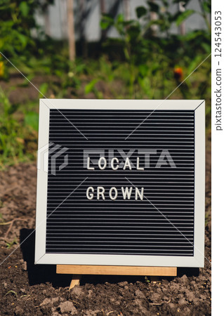 LOCAL GROWN message on background of fresh eco-friendly bio grown bell peppers in garden. Countryside food production concept. Locally produce harvesting. Sustainability 124543053