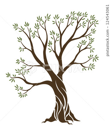 Olive trees with branches and leaves for design of packaging, label, logotype or banner. Natural organic stylized olive icon, premium quality sign. Vector illustration 124543061
