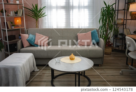 Modern living room interior with gray sofa, pillows and plants showing cozy atmosphere Modern living room interior with gray sofa, pillows and plants showing cozy atmosphere 124543178