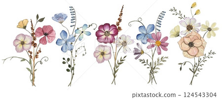 Collection with pressed dry flower bouquets isolated on white background. Watercolor illustration Collection with pressed dry flower bouquets isolated on white background. Watercolor illustration 124543304