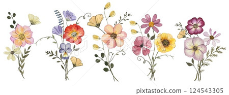 Collection with pressed dry flower bouquets isolated on white background. Watercolor illustration 124543305