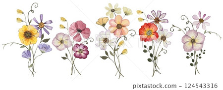 Collection with pressed dry flower bouquets isolated on white background. Watercolor illustration Collection with pressed dry flower bouquets isolated on white background. Watercolor illustration 124543316