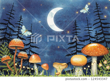 Watercolor illustration. Night forest with mushrooms, moon, fir trees. 124543347