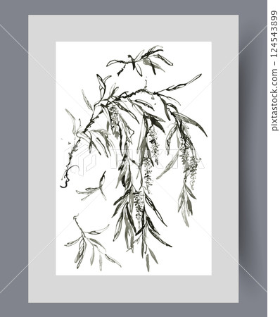 Willow tree twig with hanging petals and tassels filled with seeds on poster. Watercolor artwork 124543899