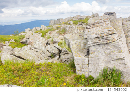 green alpine hill and meadow of carpathians. scenic view. landscape with stones among the grass beneath a sky with clouds. summer vacations in ukrainian mountains. amazing scenery green alpine hill and meadow of carpathians. scenic view. landscape with stones among the grass beneath a sky with clouds. summer vacations in ukrainian mountains. amazing scenery 124543902