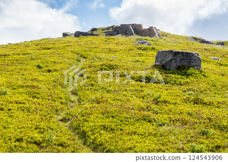 path winding uphill. narrow hiking trail. alpine scenery with grassy meadow and rocks in summer. sunny weather. green environment path winding uphill. narrow hiking trail. alpine scenery with grassy meadow and rocks in summer. sunny weather. green environment 124543906