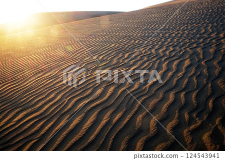 Dawn at the Tottori Sand Dunes Dawn at the Tottori Sand Dunes 124543941