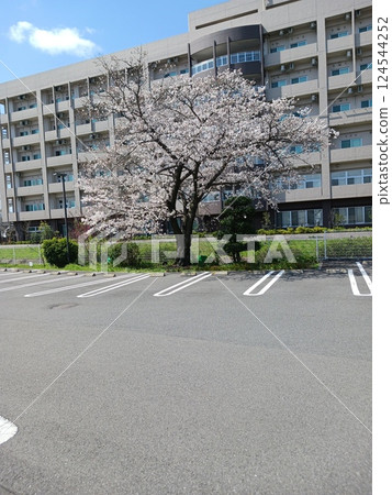 與公寓的都市風景 與公寓的都市風景 124544252