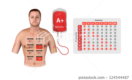 A 3D medical infographic of A Positive blood donation, illustrating transfusion process, compatibility, and recipient eligibility 124544487