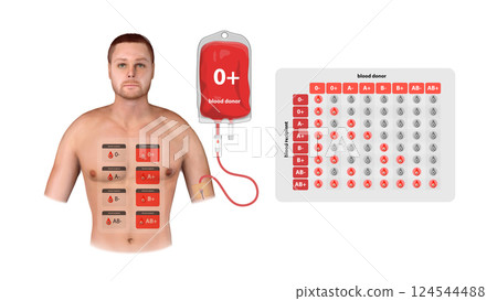 A 3D infographic visualizing O Positive blood donation, transfusion process, and compatibility with recipients in medical settings 124544488