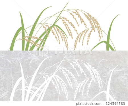 Two types of rice 124544583