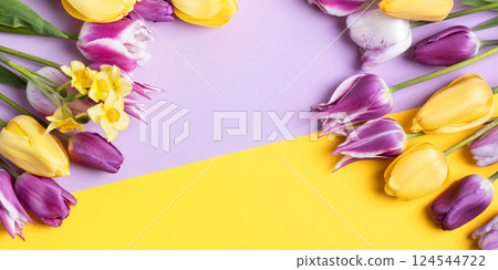 Spring flower of purple and yellow tulips and yellow daffodils on purple background with place for text. Copy space, mockup for special offers as advertising. Concept Valentine's Day, March 8th Spring flower of purple and yellow tulips and yellow daffodils on purple background with place for text. Copy space, mockup for special offers as advertising. Concept Valentine's Day, March 8th 124544722