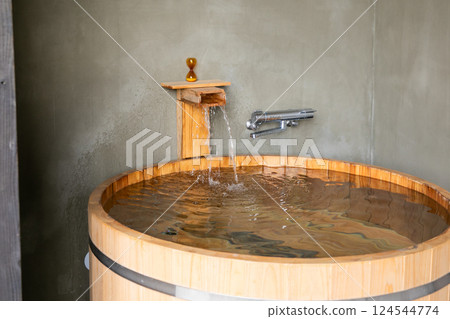 Private sauna and cold bath 124544774