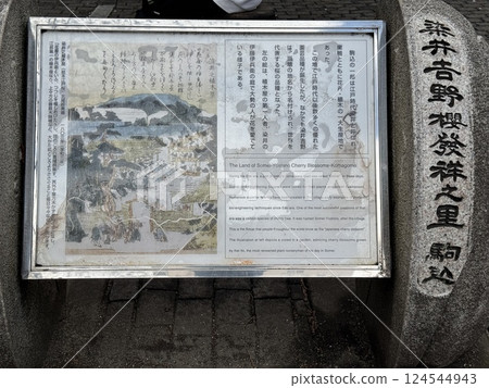 The birthplace of Somei-Yoshino cherry blossoms The birthplace of Somei-Yoshino cherry blossoms 124544943