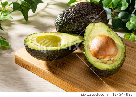 Avocado  124544983